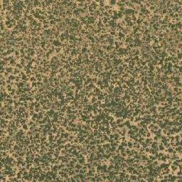 Satellite imagery of BONA, BW