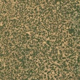 Satellite imagery of BONA, BW