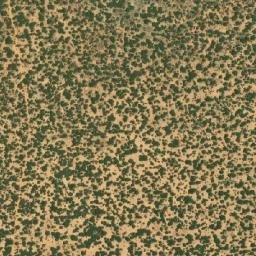 Satellite imagery of BONA, BW