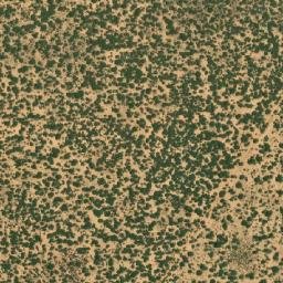 Satellite imagery of BONA, BW