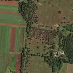 Satellite imagery of VER 4, BW