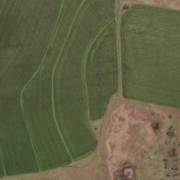 Satellite imagery of PALM, BW
