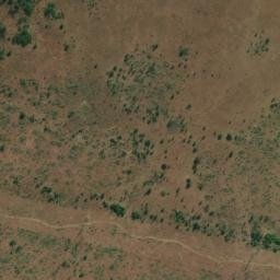 Satellite imagery of VER 115, BW