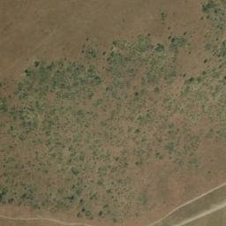Satellite imagery of VER 115, BW