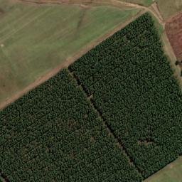 Satellite imagery of WINSBOROUGH, MZ