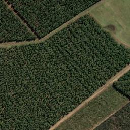 Satellite imagery of WINSBOROUGH, MZ