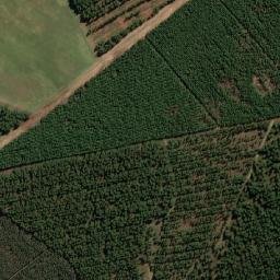Satellite imagery of WINSBOROUGH, MZ