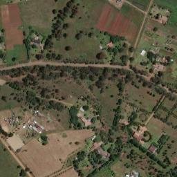 Satellite imagery of VER 80, BW