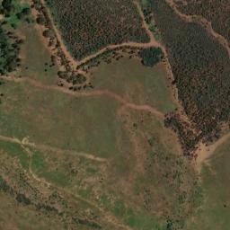 Satellite imagery of VER 81, BW