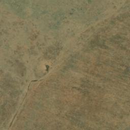 Satellite imagery of WILDEBEES, BW