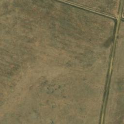 Satellite imagery of WILDEBEES, BW