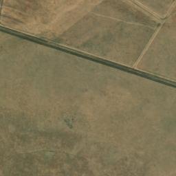Satellite imagery of WILDEBEES, BW
