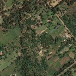 Satellite imagery of VER 81, BW