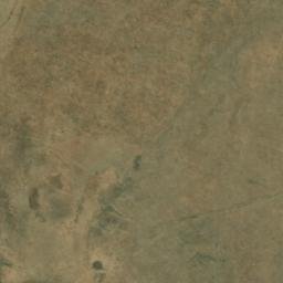 Satellite imagery of WILDEBEES, BW