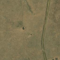 Satellite imagery of WILDEBEES, BW
