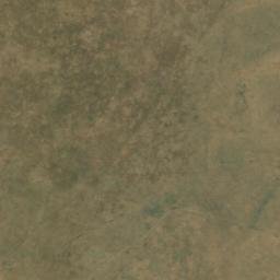 Satellite imagery of WILDEBEES, BW