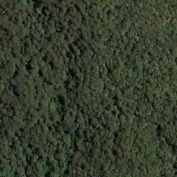 Satellite imagery of Point Glorious, AU