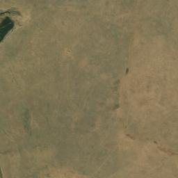 Satellite imagery of WILDEBEES, BW