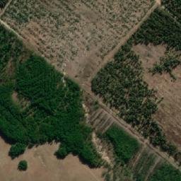 Satellite imagery of GRASS, MZ