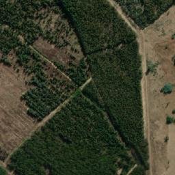 Satellite imagery of GRASS, MZ