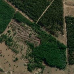 Satellite imagery of GRASS, MZ