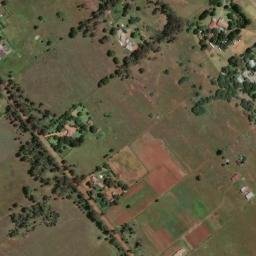 Satellite imagery of VER 82, BW
