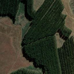 Satellite imagery of STAFFORD, MZ