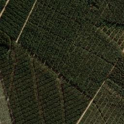 Satellite imagery of STAFFORD, MZ