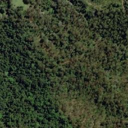 Satellite imagery of Walli Mountain, AU