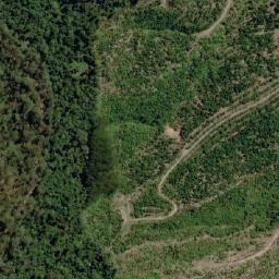 Satellite imagery of Walli Mountain, AU