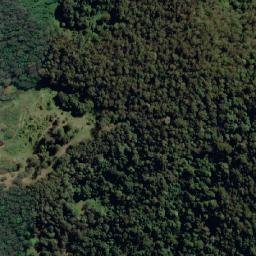 Satellite imagery of Mount Walli, AU