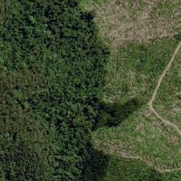 Satellite imagery of Mount Walli, AU