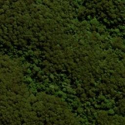 Satellite imagery of Mount Rollman, AU
