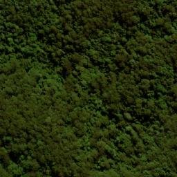 Satellite imagery of Mount Rollman, AU