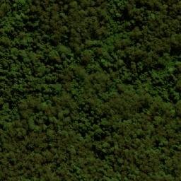 Satellite imagery of Mount Rollman, AU