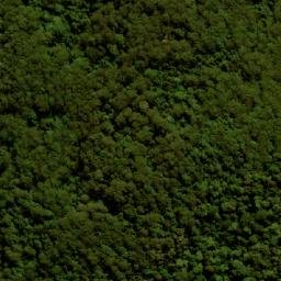 Satellite imagery of Mount Rollman, AU