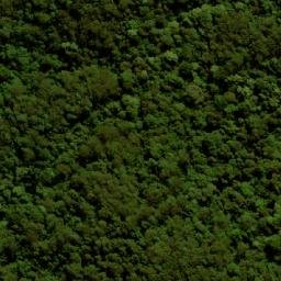 Satellite imagery of Mount Rollman, AU
