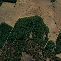 Satellite imagery of MORGENSTOND, MZ
