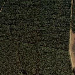 Satellite imagery of MORGENSTOND, MZ