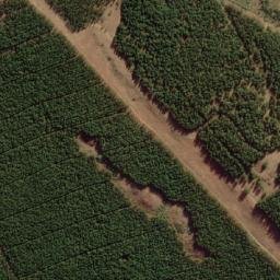 Satellite imagery of MORGENSTOND, MZ