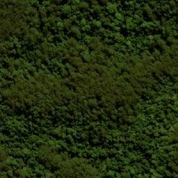 Satellite imagery of Mount Denmark, AU