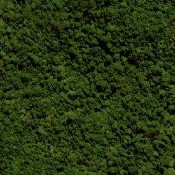 Satellite imagery of Mount Langley, AU