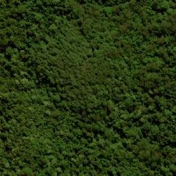 Satellite imagery of Mount Langley, AU
