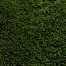Satellite imagery of Mount Langley, AU