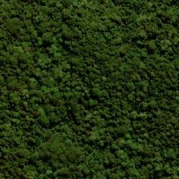 Satellite imagery of Mount Langley, AU