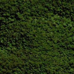 Satellite imagery of Mount Langley, AU