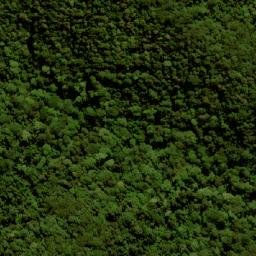Satellite imagery of Mount Langley, AU