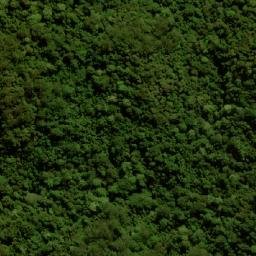 Satellite imagery of Mount Langley, AU