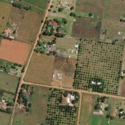 Satellite imagery of VER 41, BW
