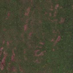 Satellite imagery of Mbongolwane, ZA
